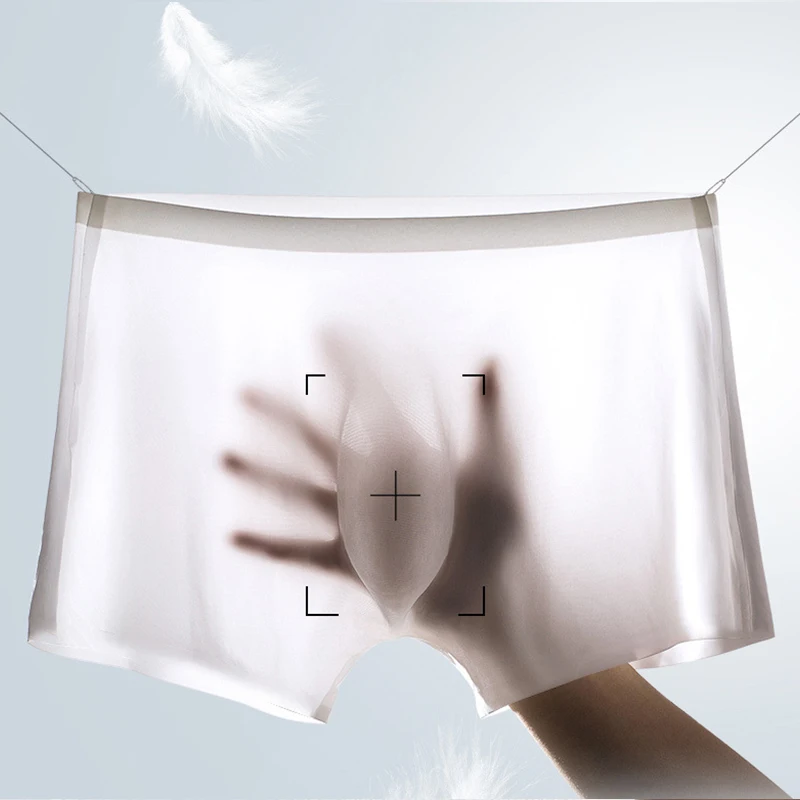 10 Pcs/Lot Men's Summer Ice Si - đánh giá và giá Multi Pack Underwear