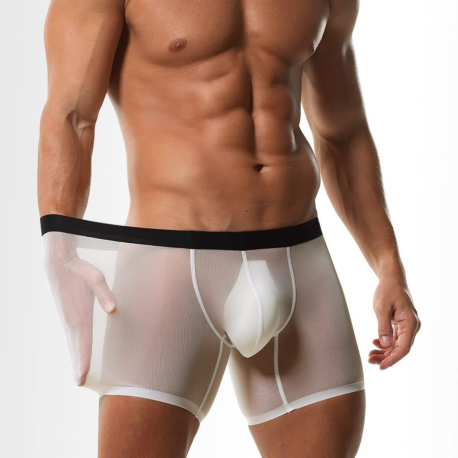 Mens Long Leg Boxer Shorts Ice - đánh giá và giá Long Leg Trunk Men